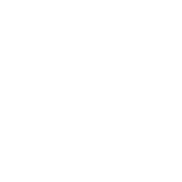 Logo-WebsiteAsset 2